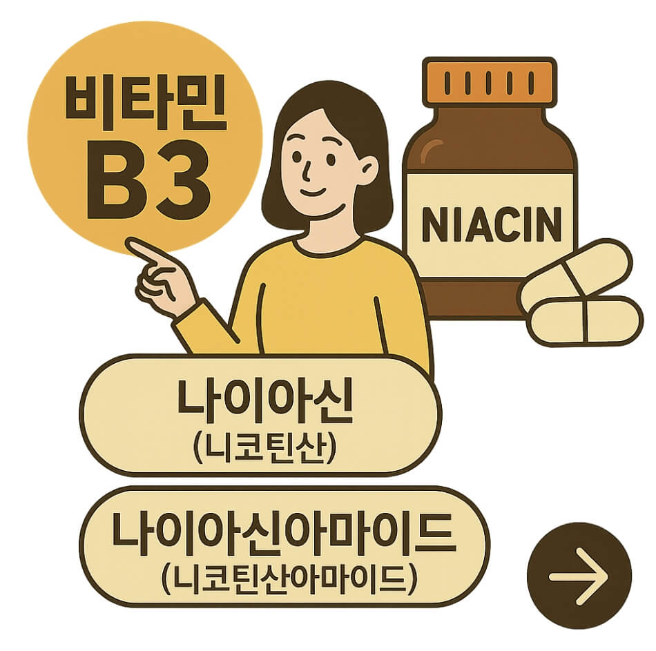 비타민 B3 효능