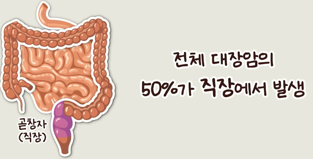 대장 건강 비타민C 복용법
