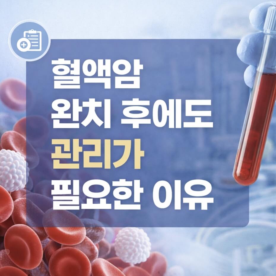 혈액암 완치 후 재발 가능성