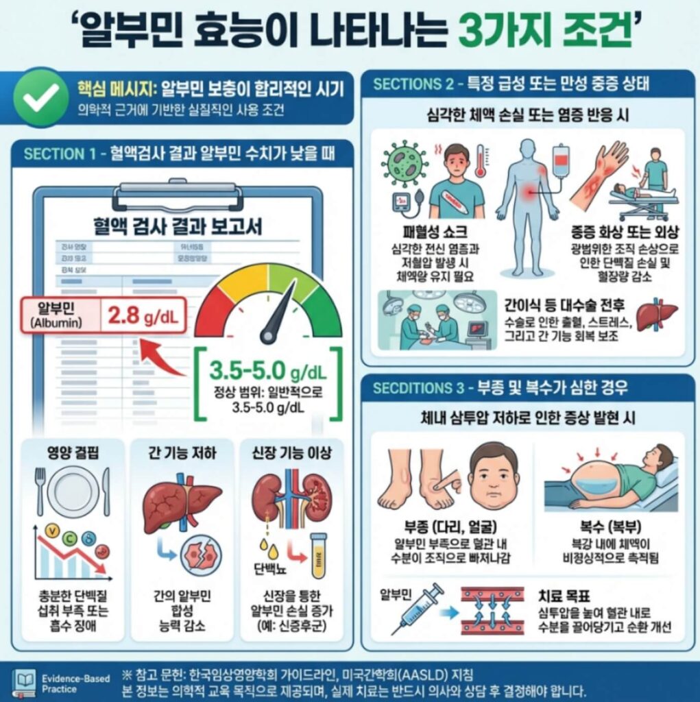 알부민 효능