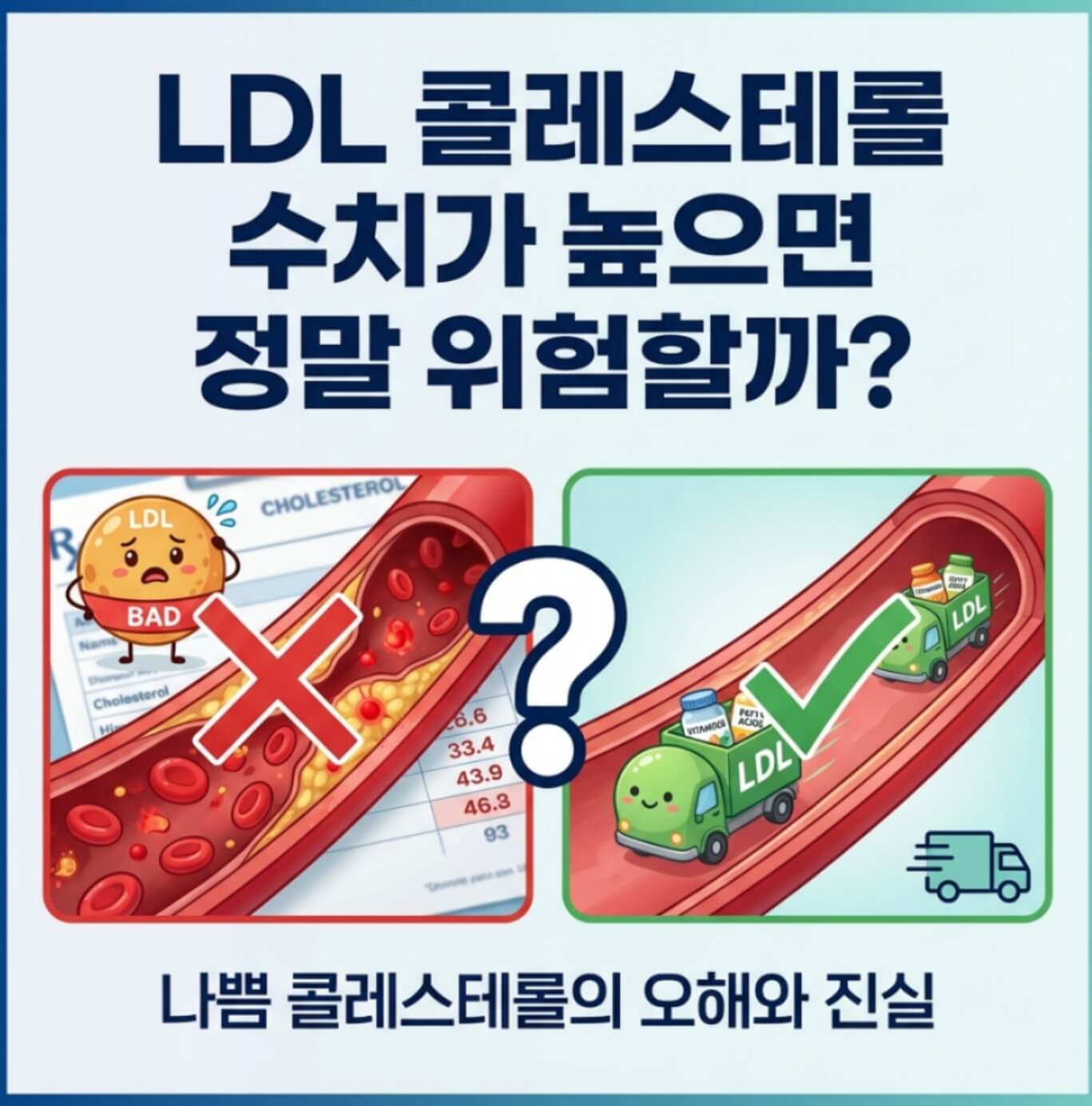 LDL 콜레스테롤