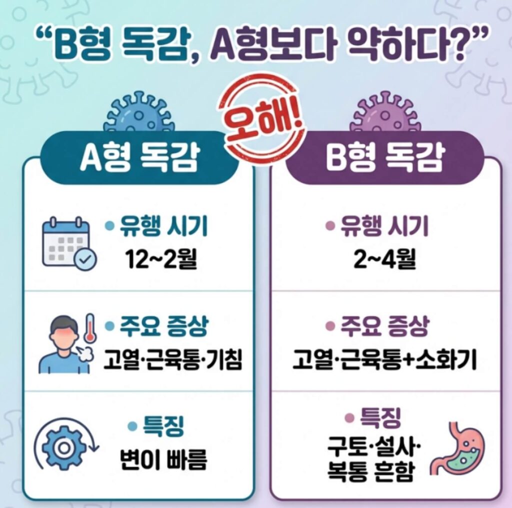 B형 독감 증상