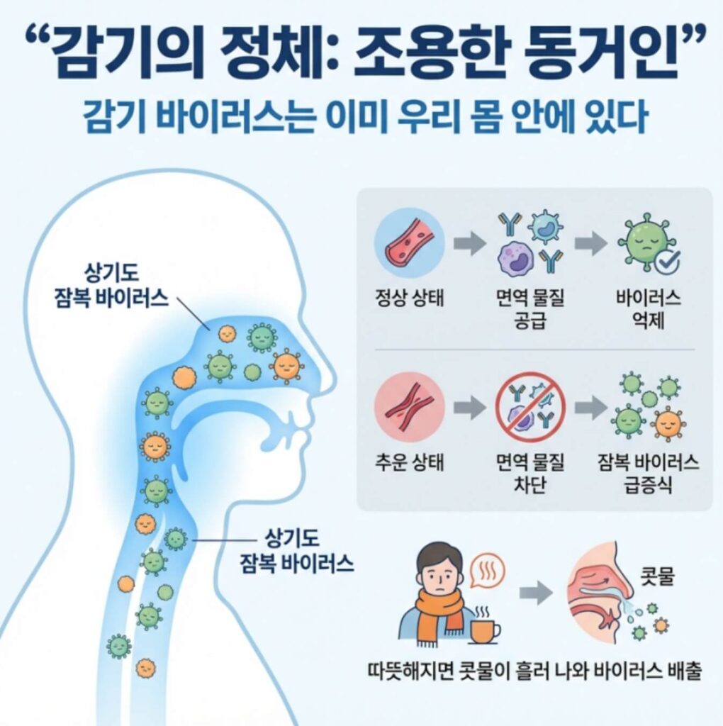 감기와 독감 차이