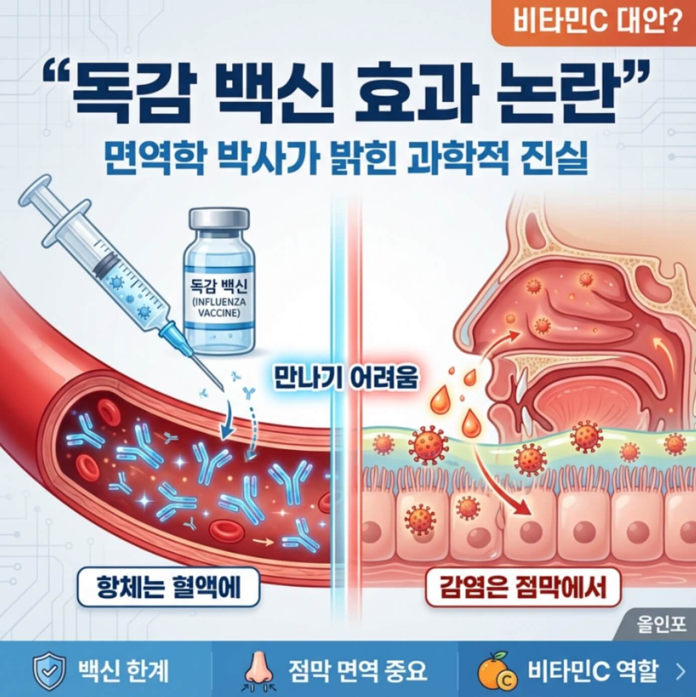 독감 백신 효과