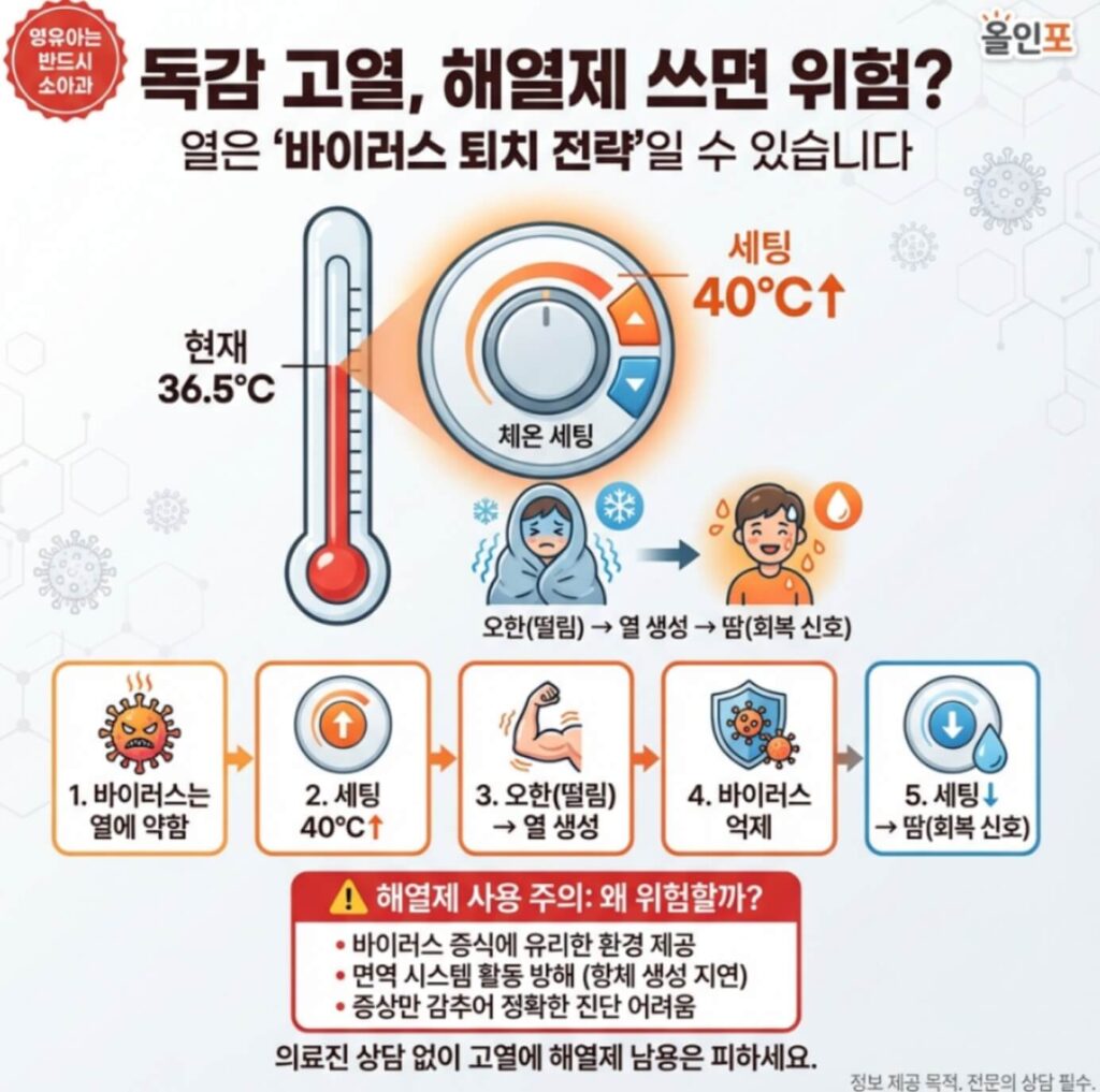 독감 백신 효과