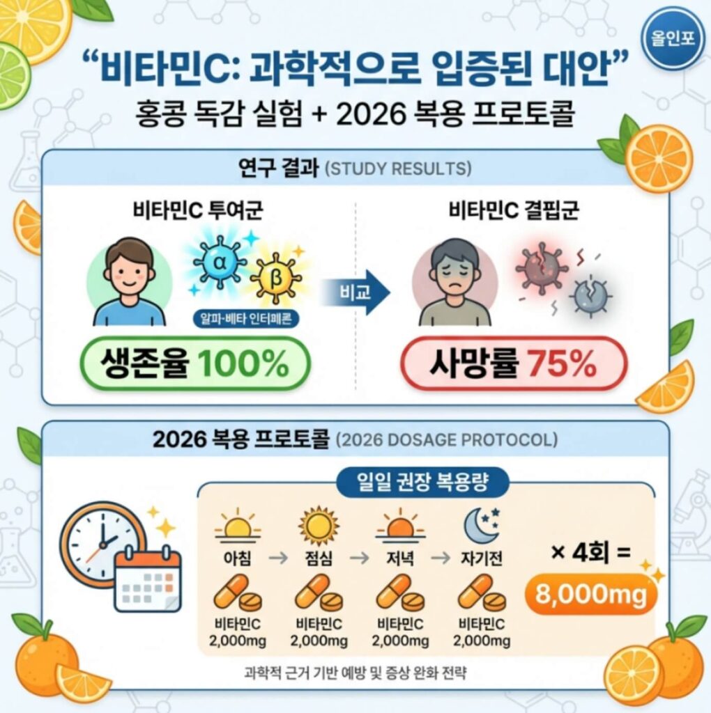 독감 백신 효과