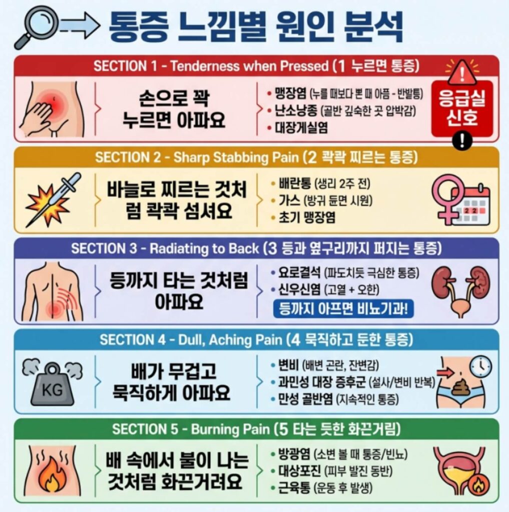 오른쪽 아랫배 누르면 통증