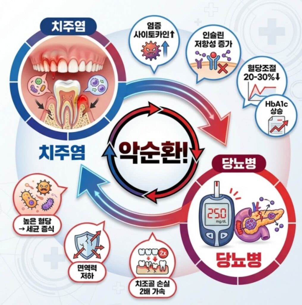  치주염 치매 당뇨 영향