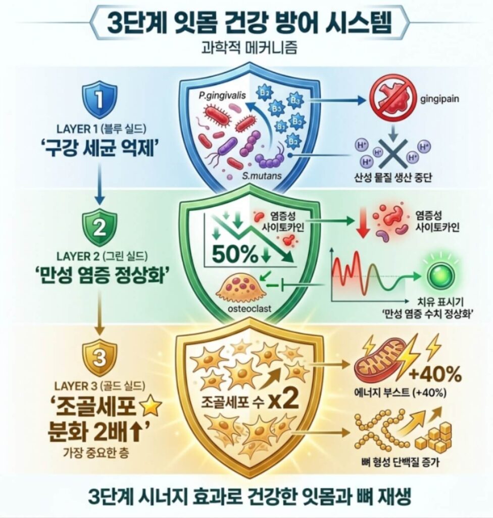 잇몸에 좋은 영양제