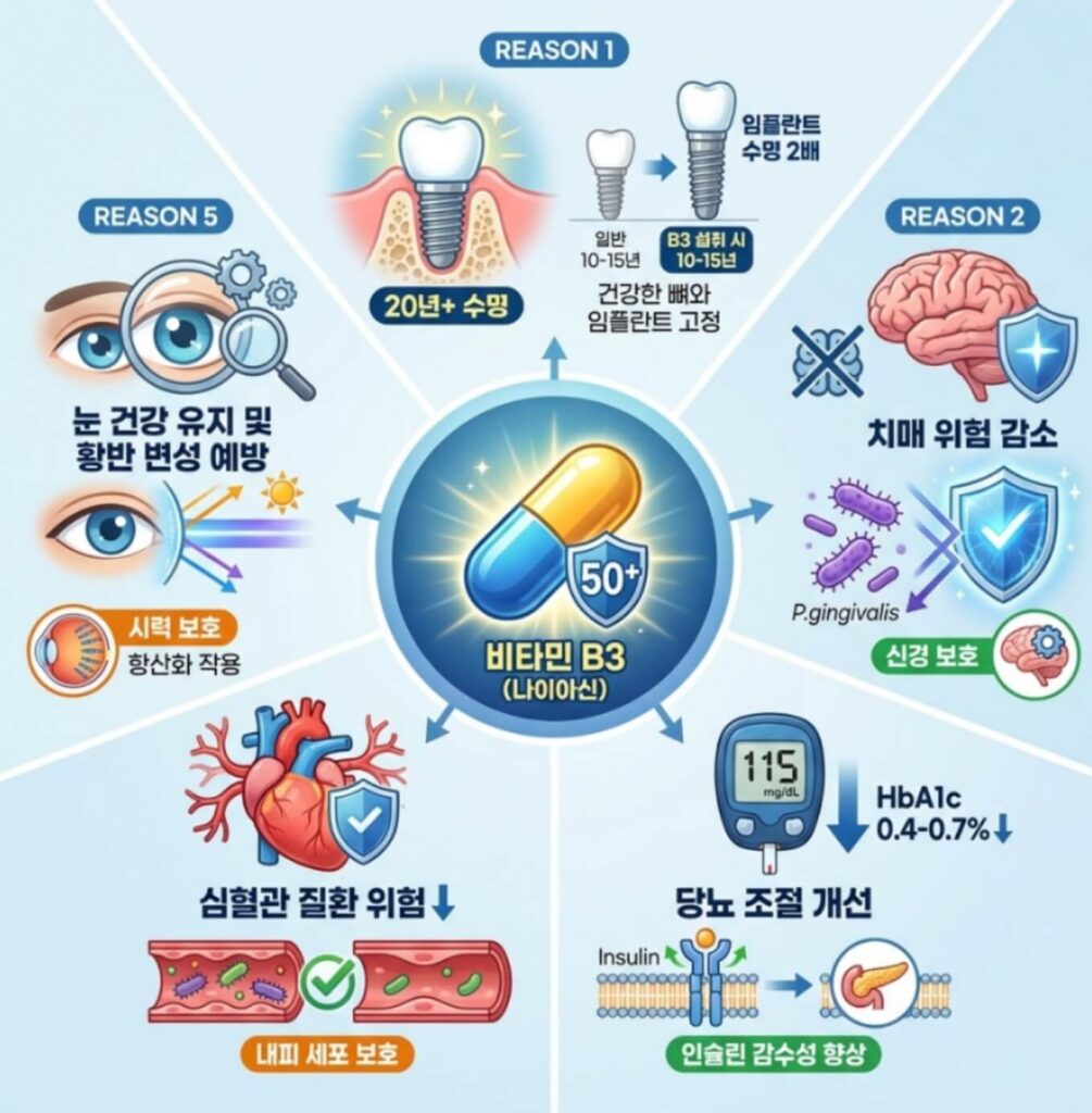잇몸에 좋은 영양제 완벽 가이드|덴티스트 대신 서울대 교수가 주목한 뼈 재생 성분