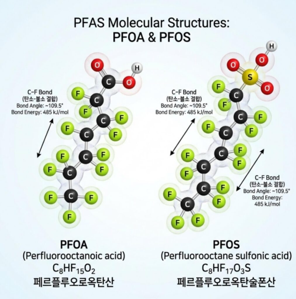 콘택트렌즈 PFAS
