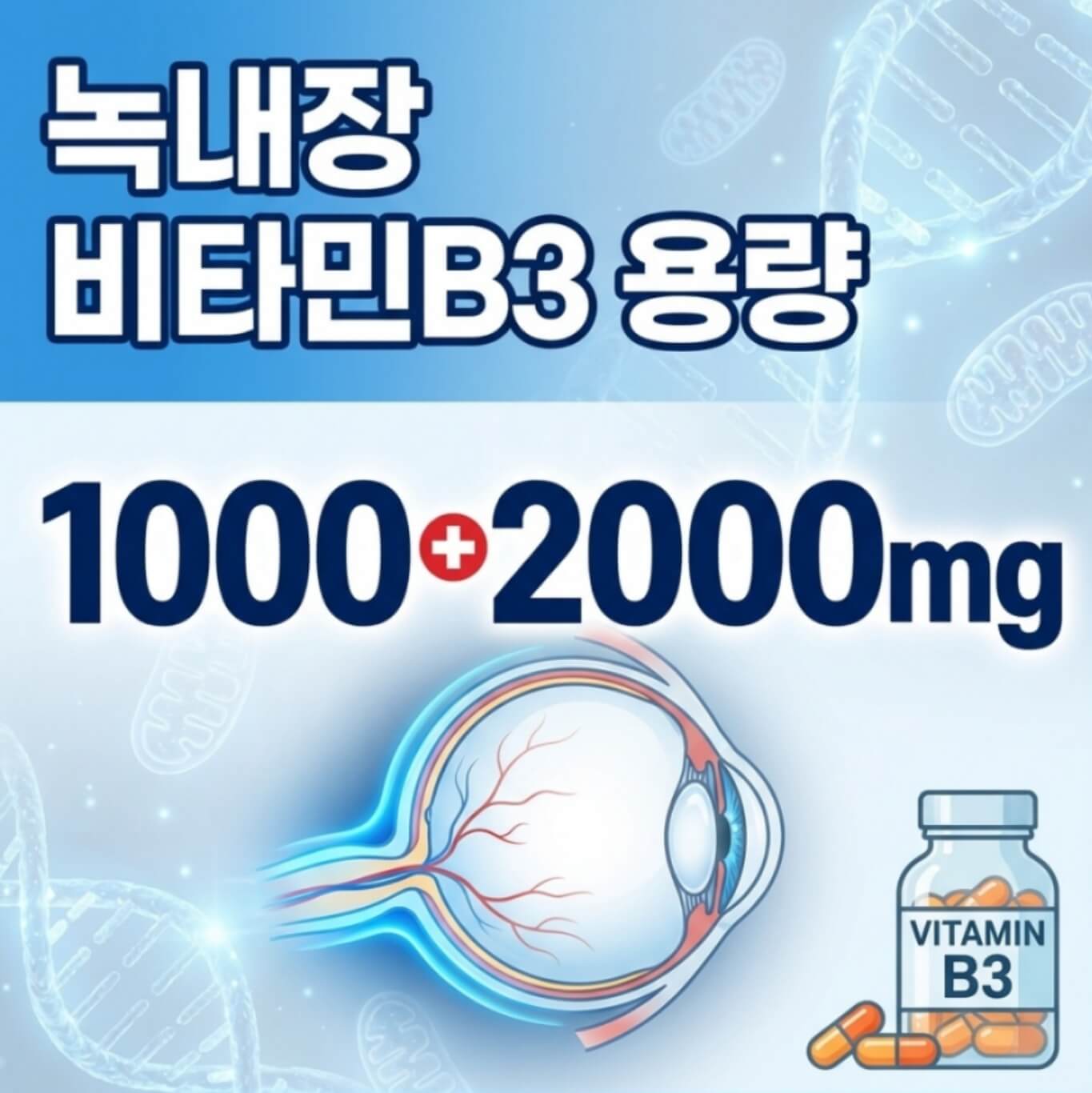 비타민B3 녹내장 용량 