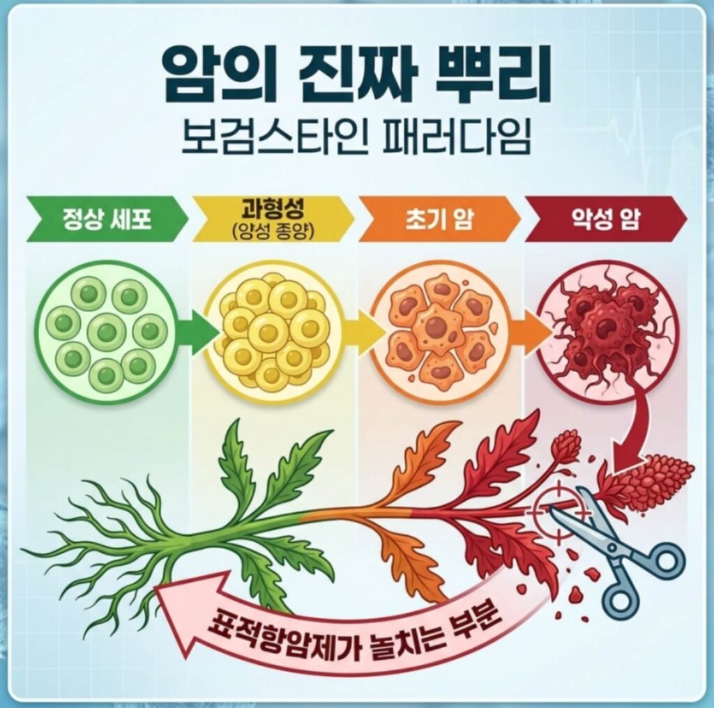 표적항암제 재발