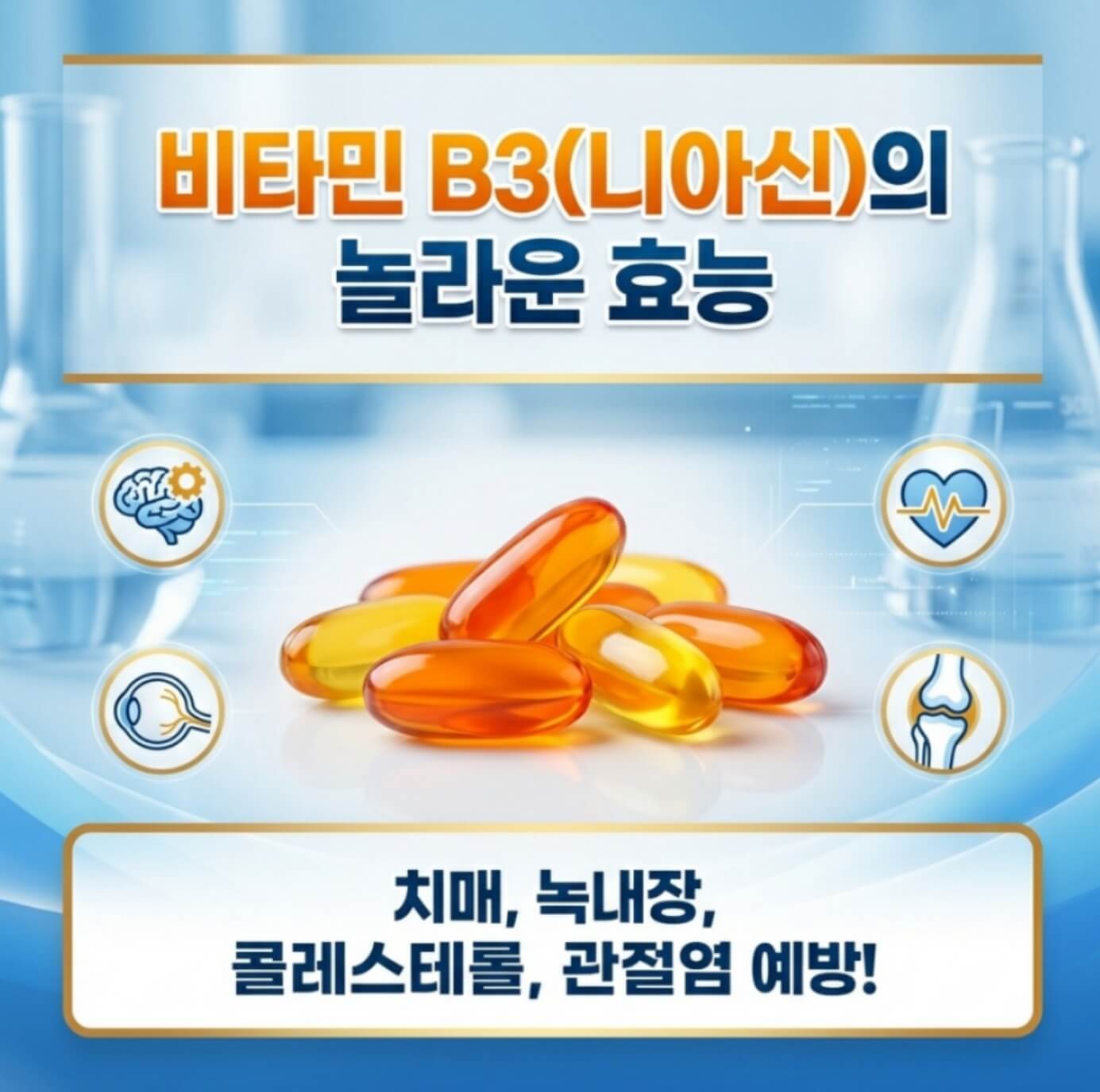 비타민B3 효능