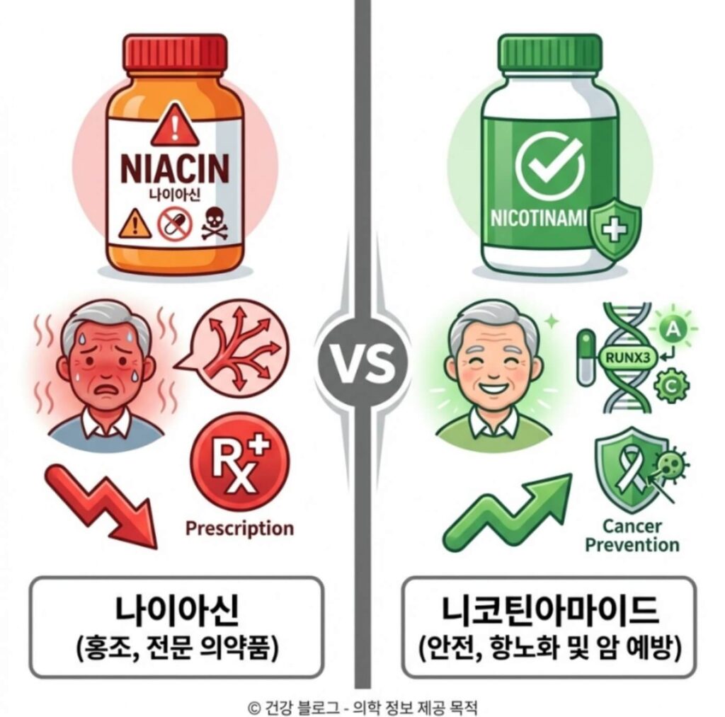 비타민B3 복용법