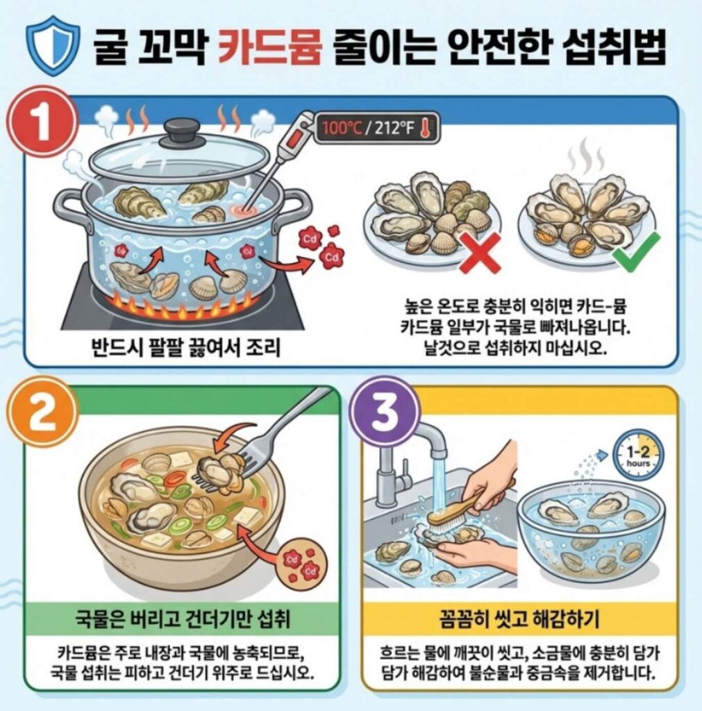  굴 꼬막 카드뮴 