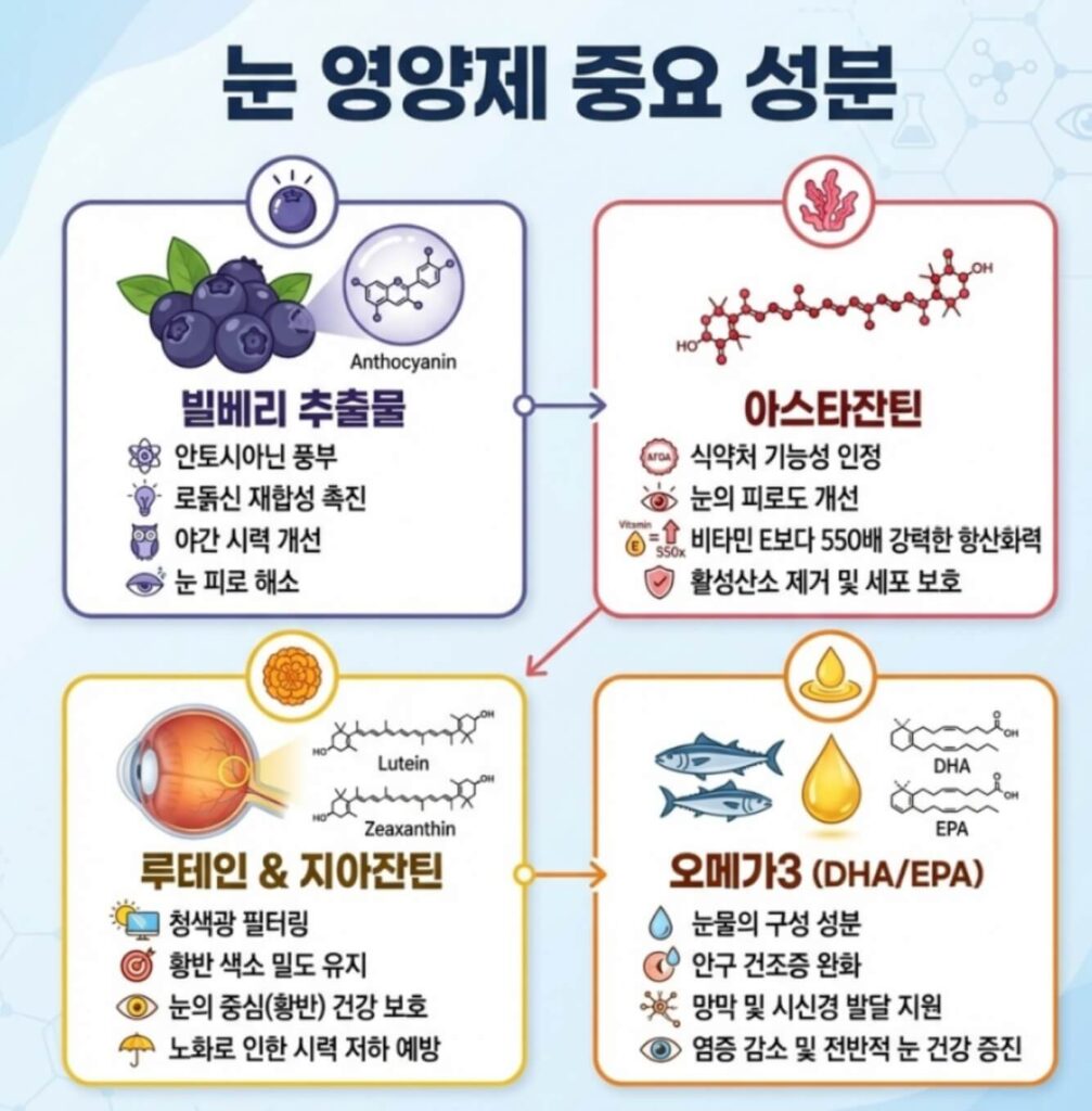  눈 영양제 추천 