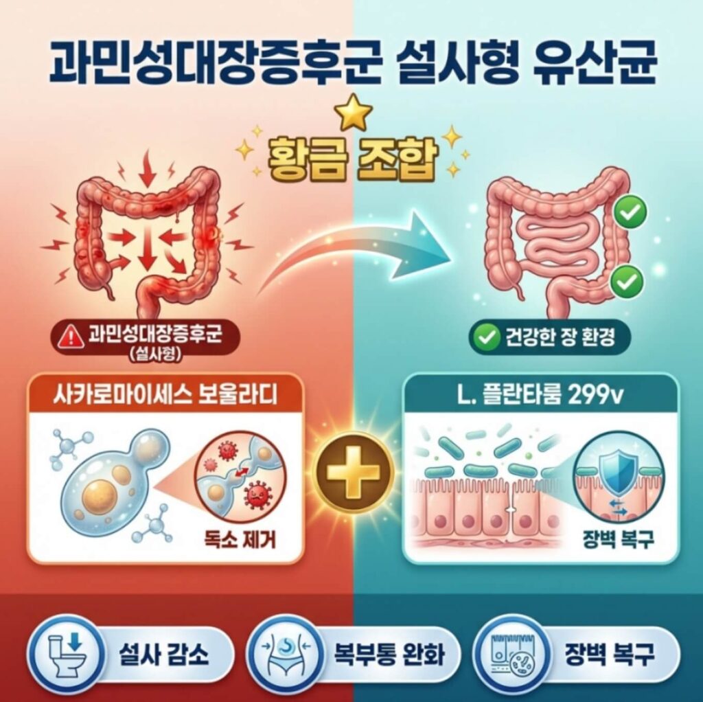 과민성대장증후군 설사형 유산균 