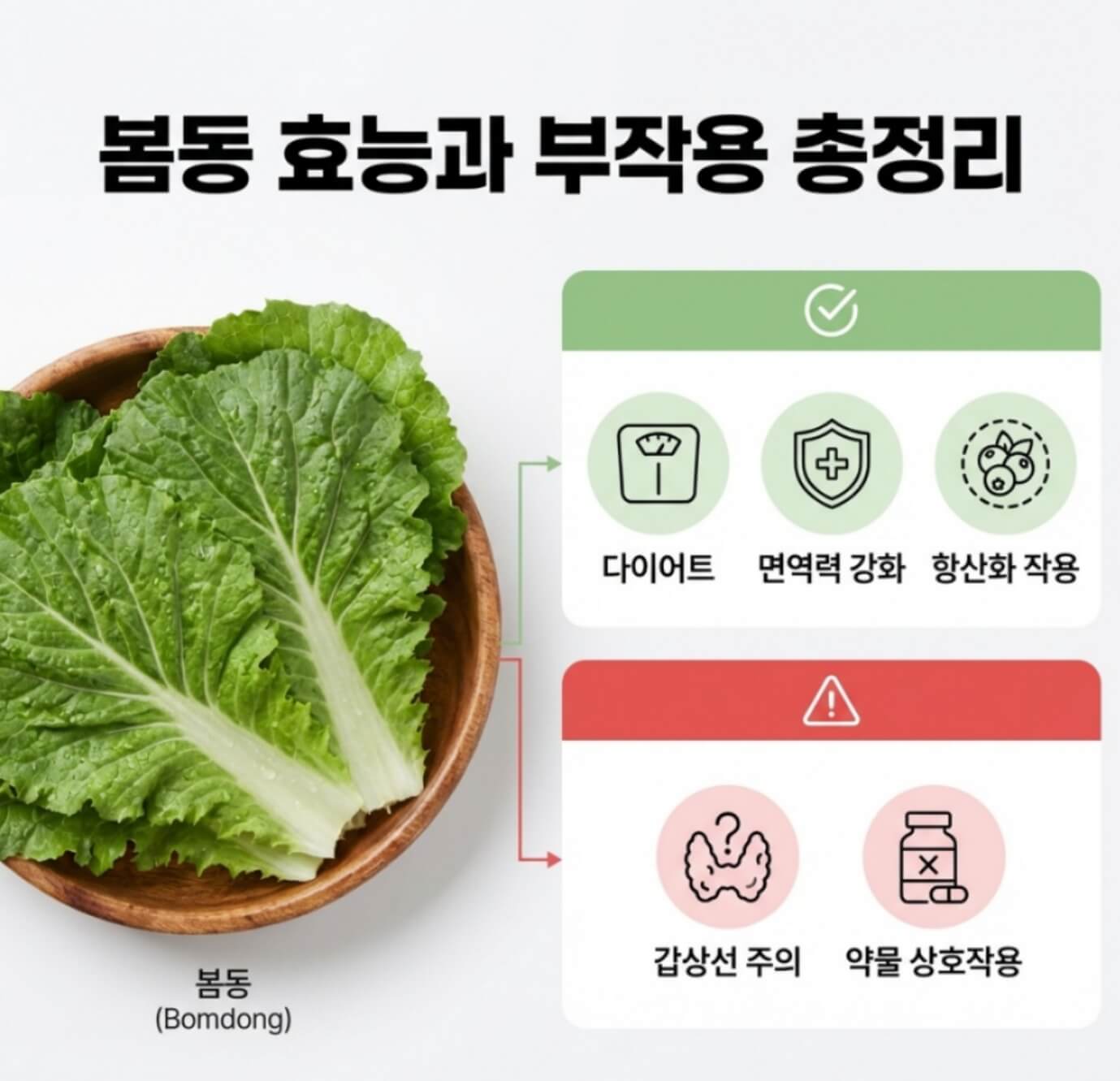 봄동 효능과 부작용