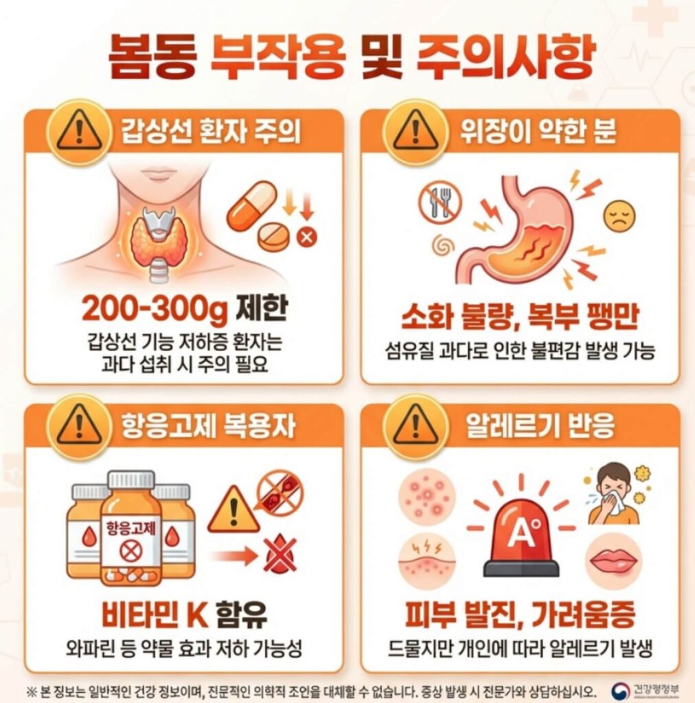 봄동 효능과 부작용