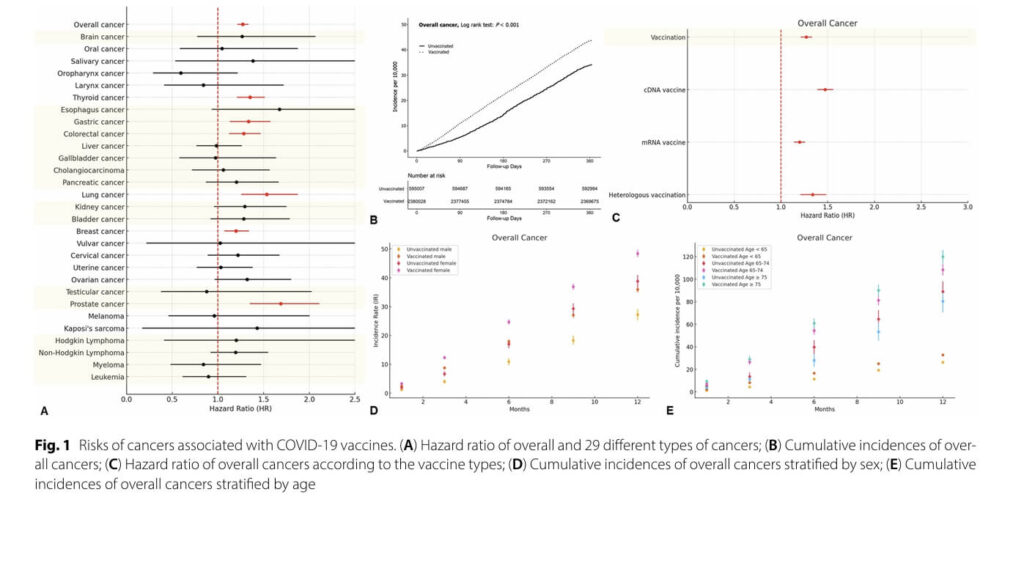 코로나 백신 심근경색