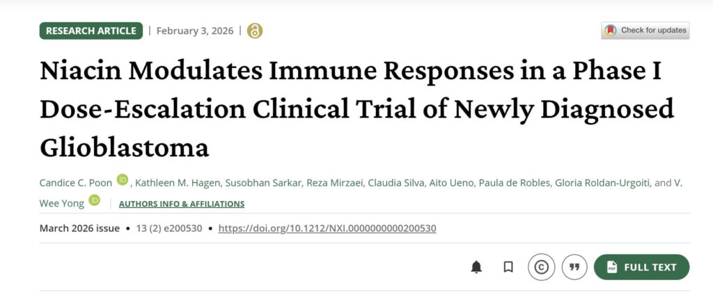 비타민B3 나이아신아마이드 효능