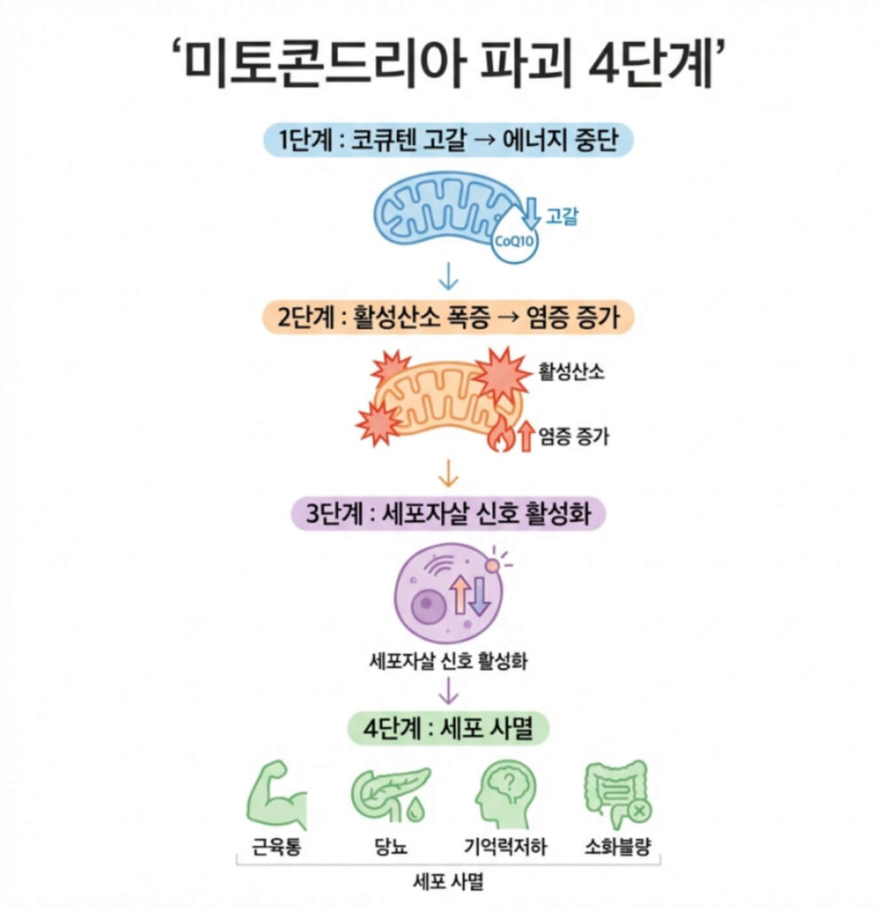 스타틴 부작용 기전