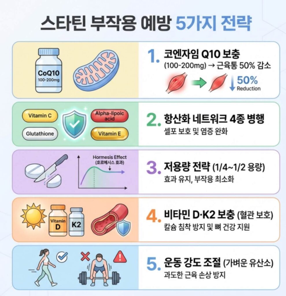 스타틴 부작용 기전