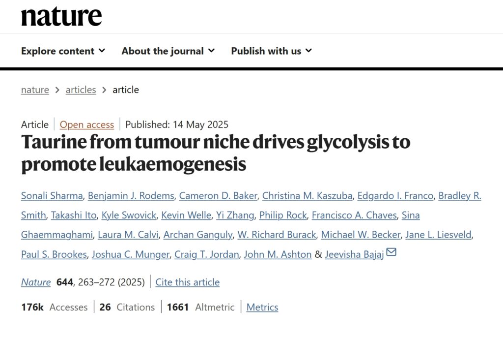 타우린 과다섭취 부작용