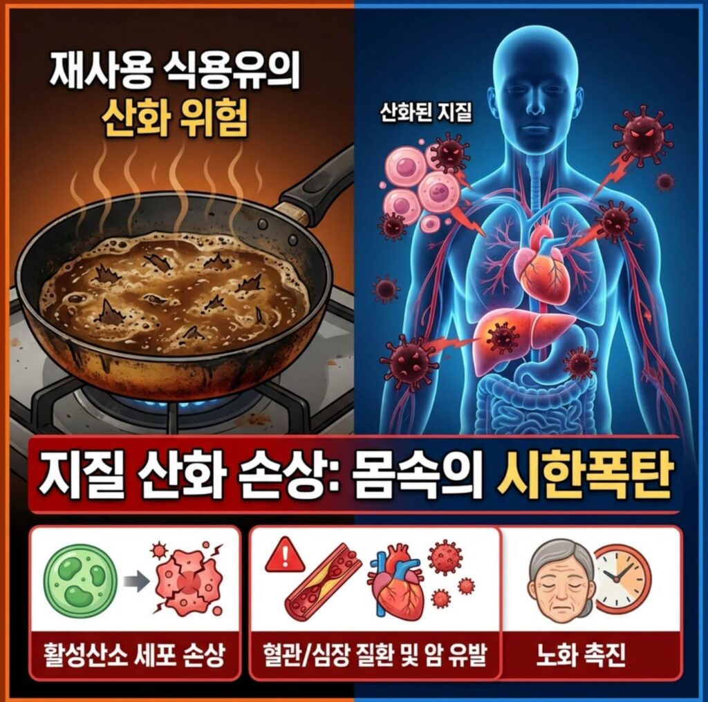 식용유 재사용 위험성