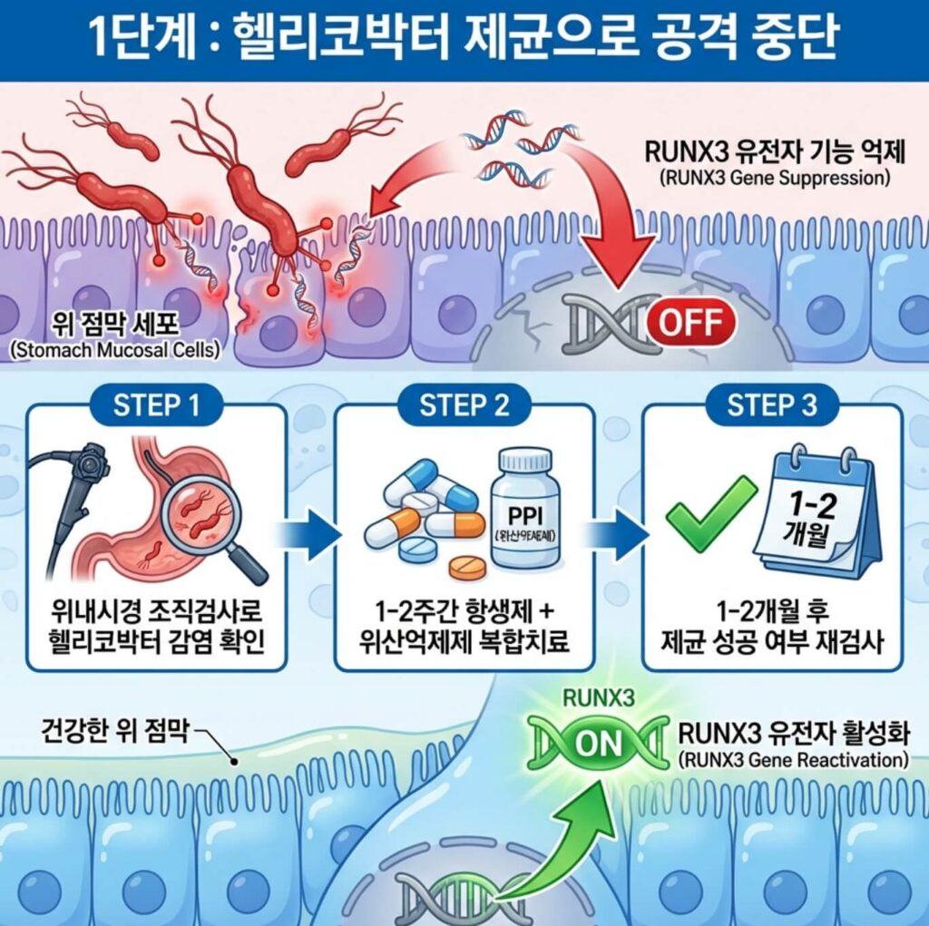 장상피화생 완치