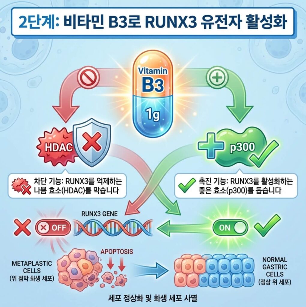 장상피화생 완치