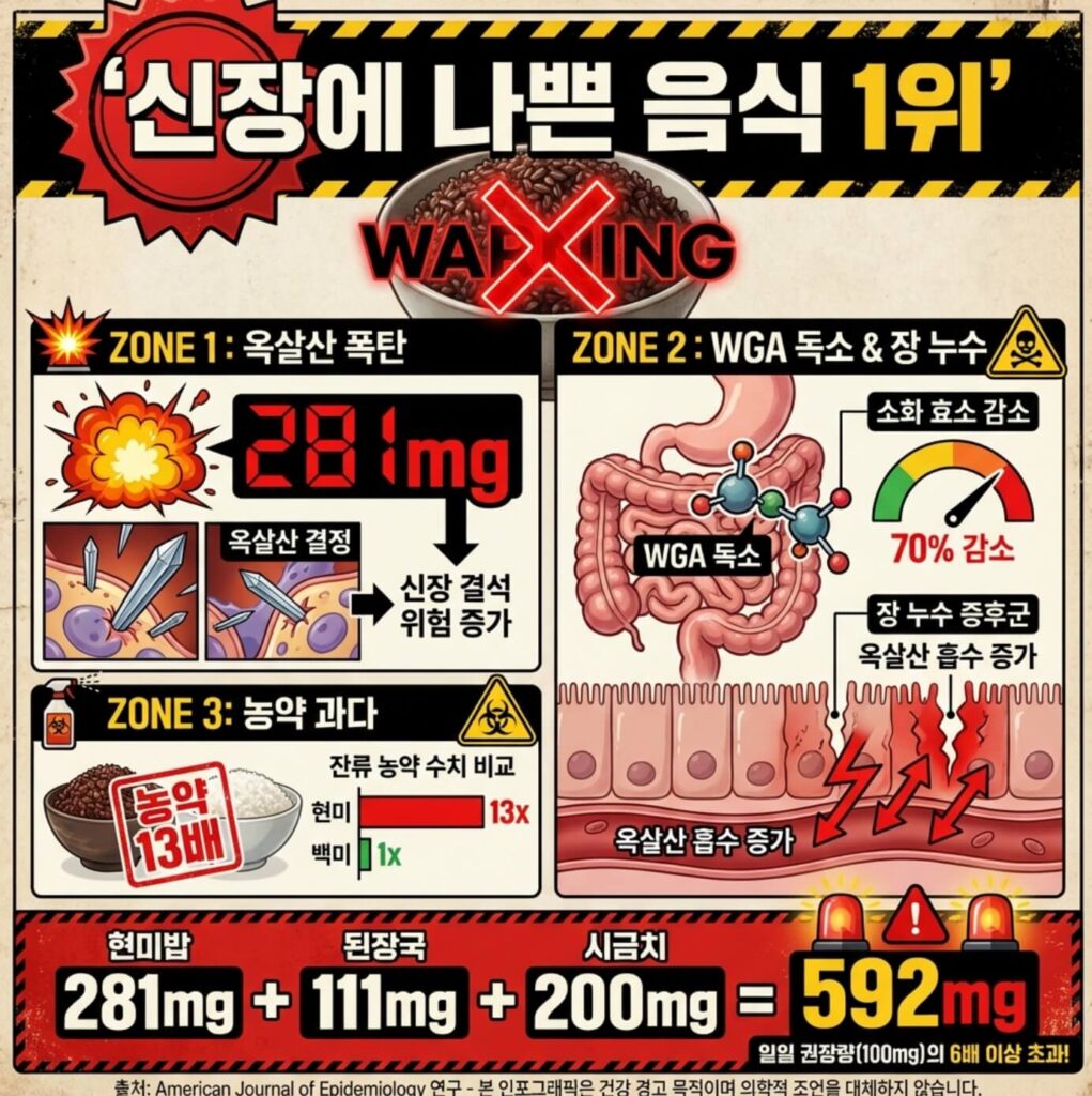 신장에 나쁜 음식