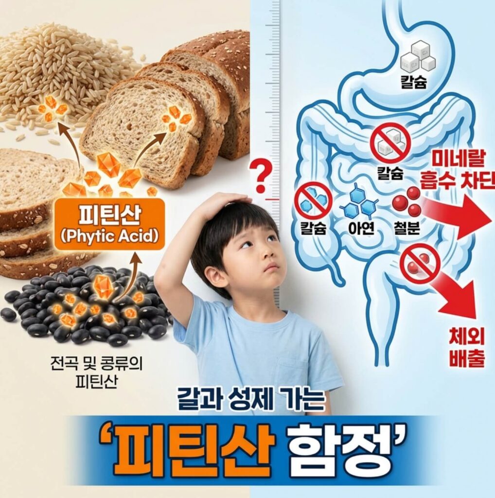 어린이 키 성장