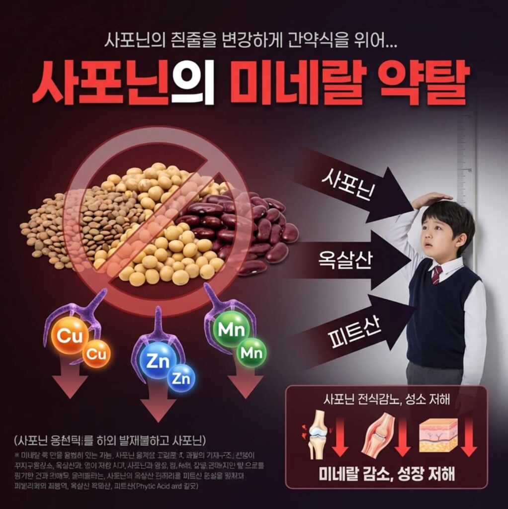 어린이 키 성장