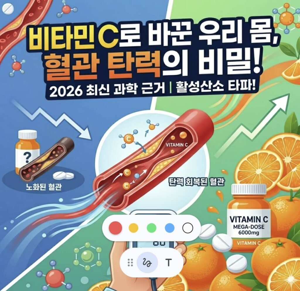 고혈압약 비타민C