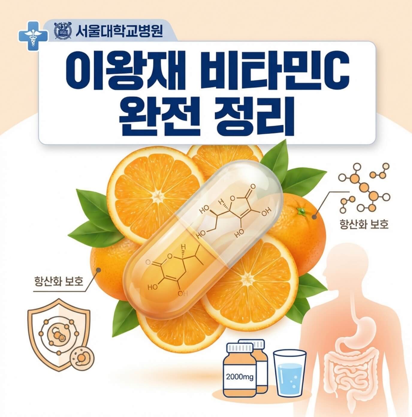 이왕재 비타민C