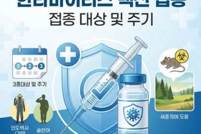 한타바이러스 백신 접종 대상 및 주기 (2026년 최신 기준)