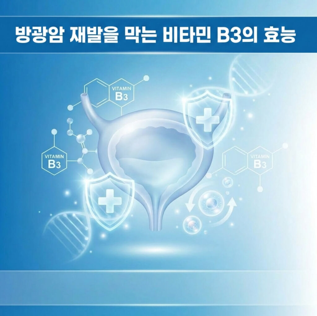 방광암 비타민 B3
