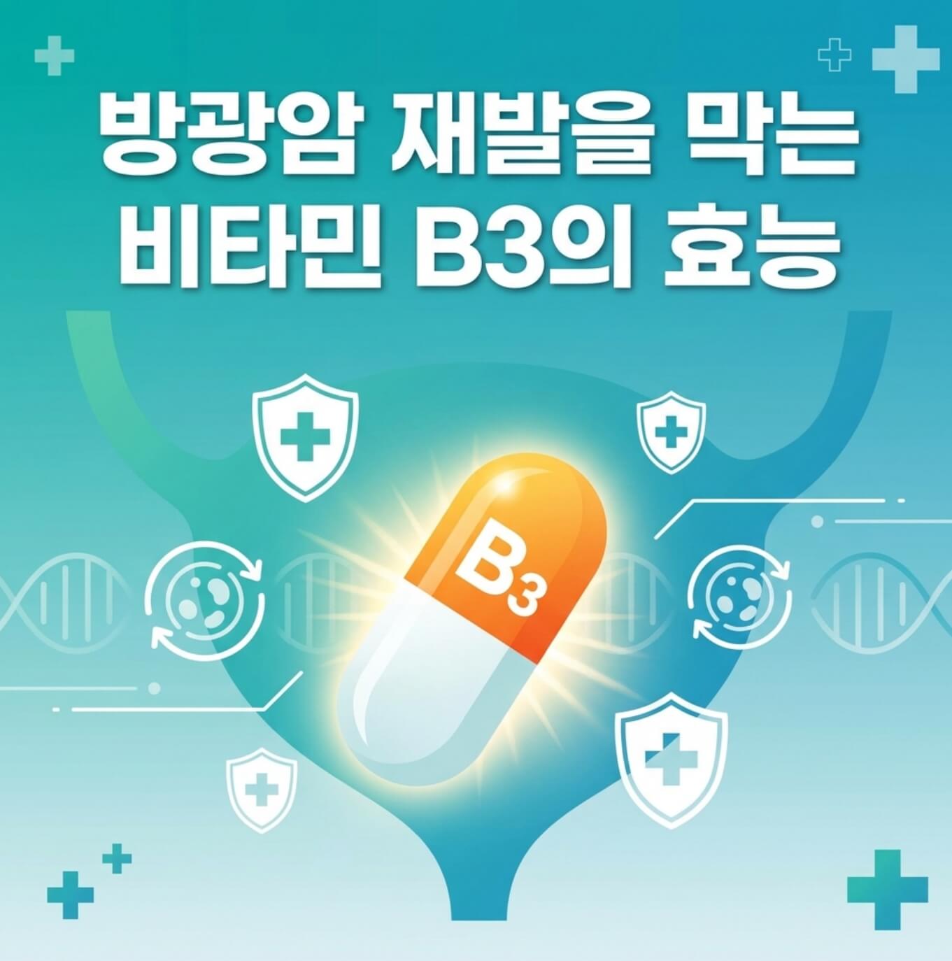 방광암 비타민 B3