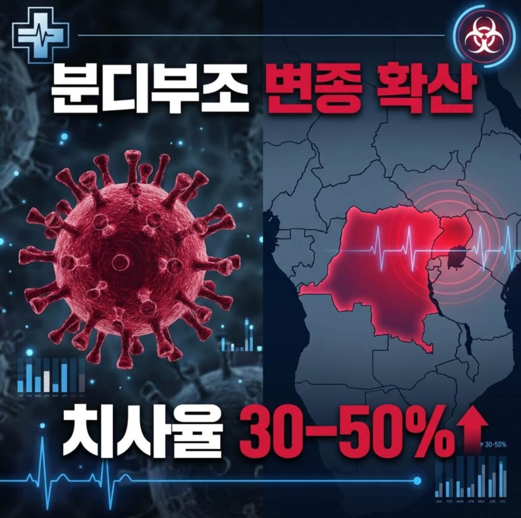 에볼라 바이러스 증상