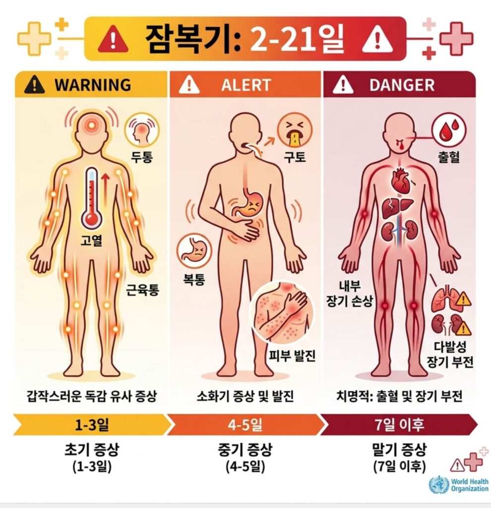 에볼라 바이러스 증상
