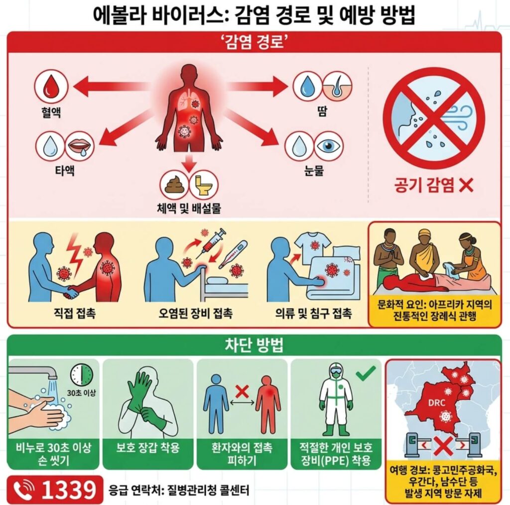 에볼라 바이러스 증상