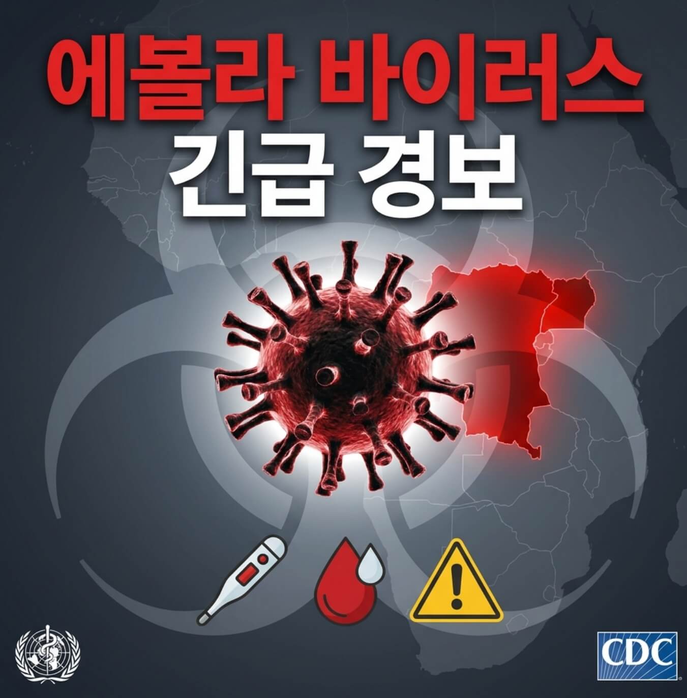 에볼라 바이러스 증상