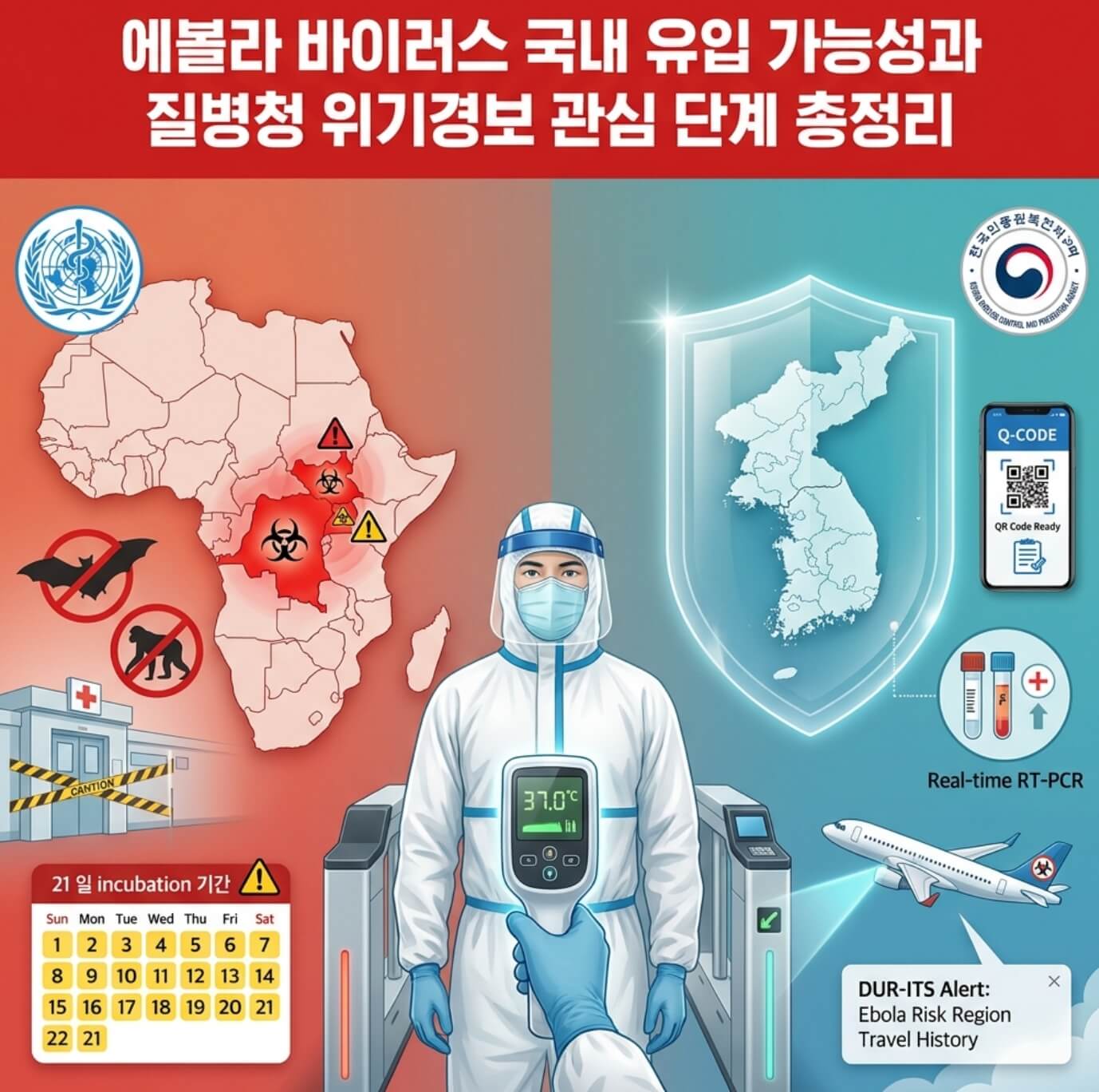 에볼라 바이러스 국내 유입