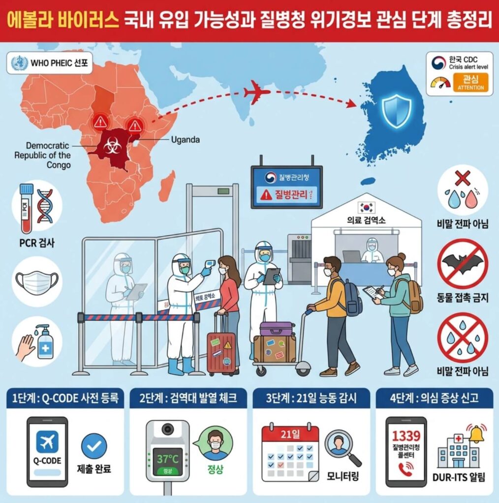 에볼라 바이러스 국내 유입