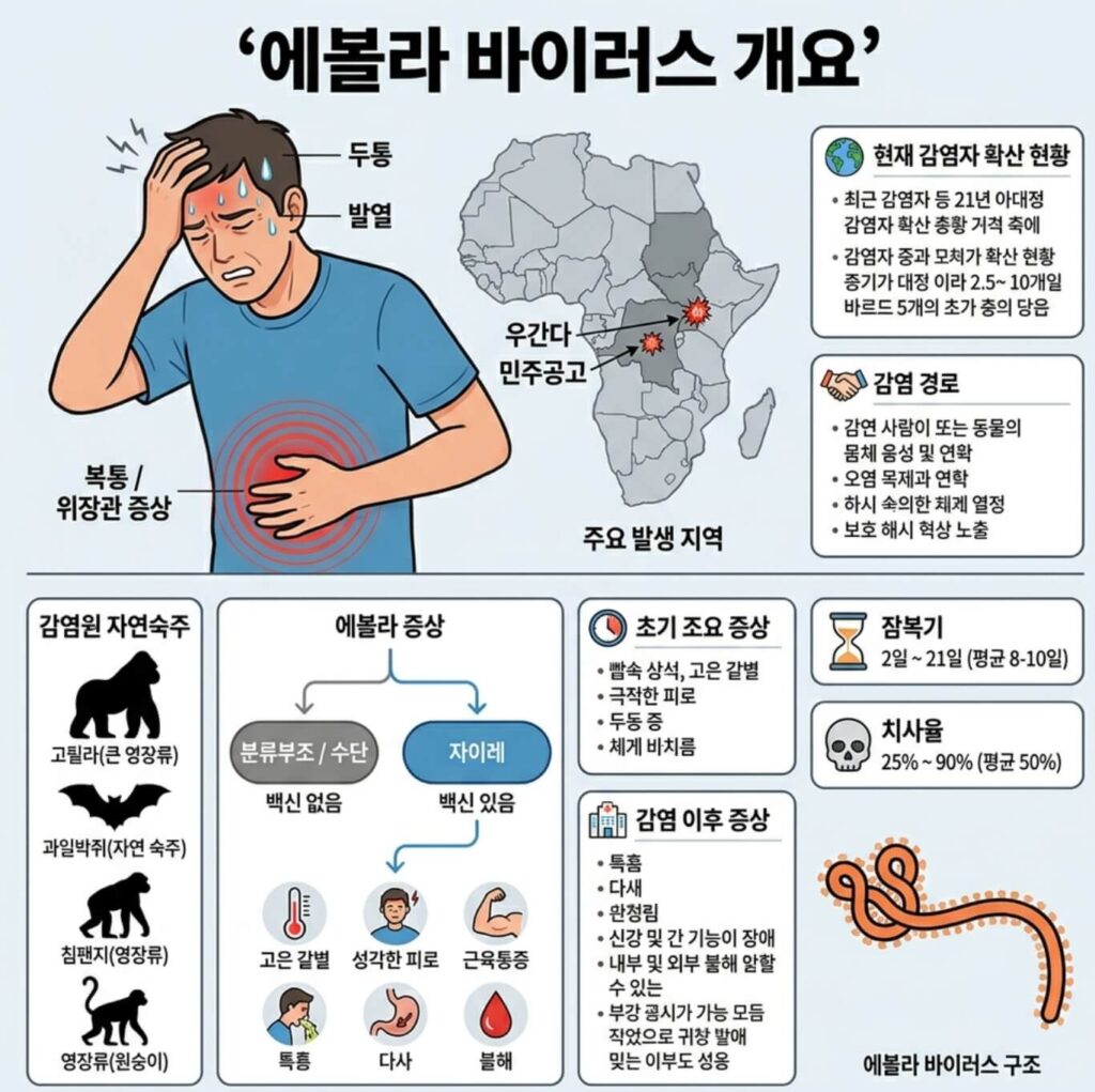 분디부조 변종 에볼라 바이러스 백신 치료제 현황