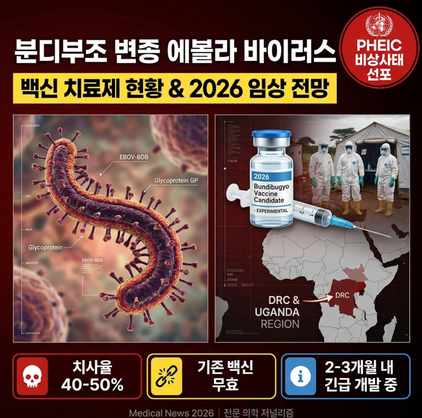 분디부조 변종 에볼라 바이러스 백신 치료제 현황