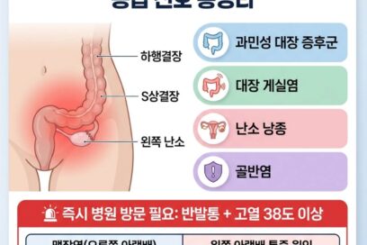 여자 왼쪽 아랫배 통증 의심 질환 4가지 및 응급 신호 총정리