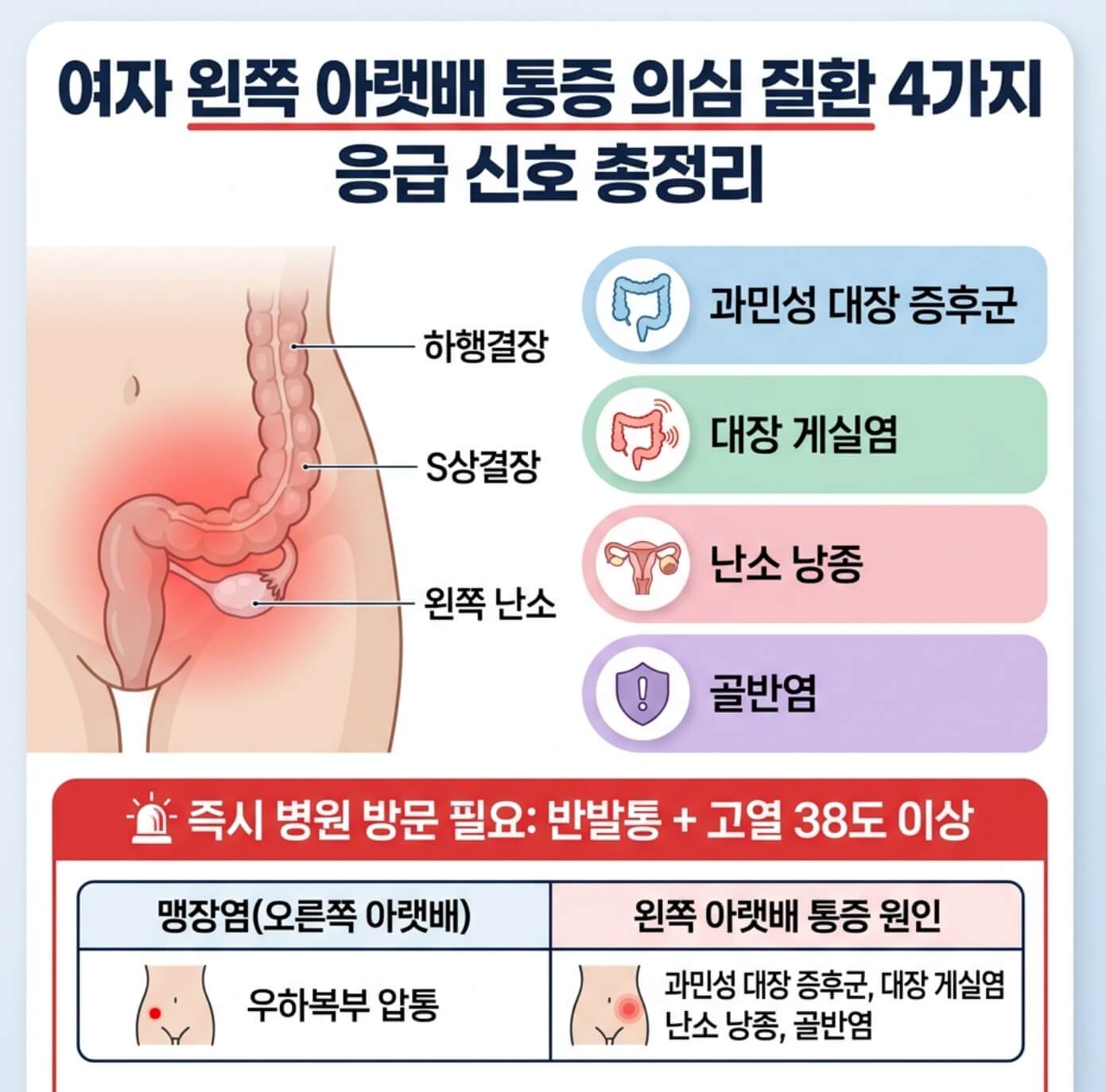 여자 왼쪽 아랫배 통증